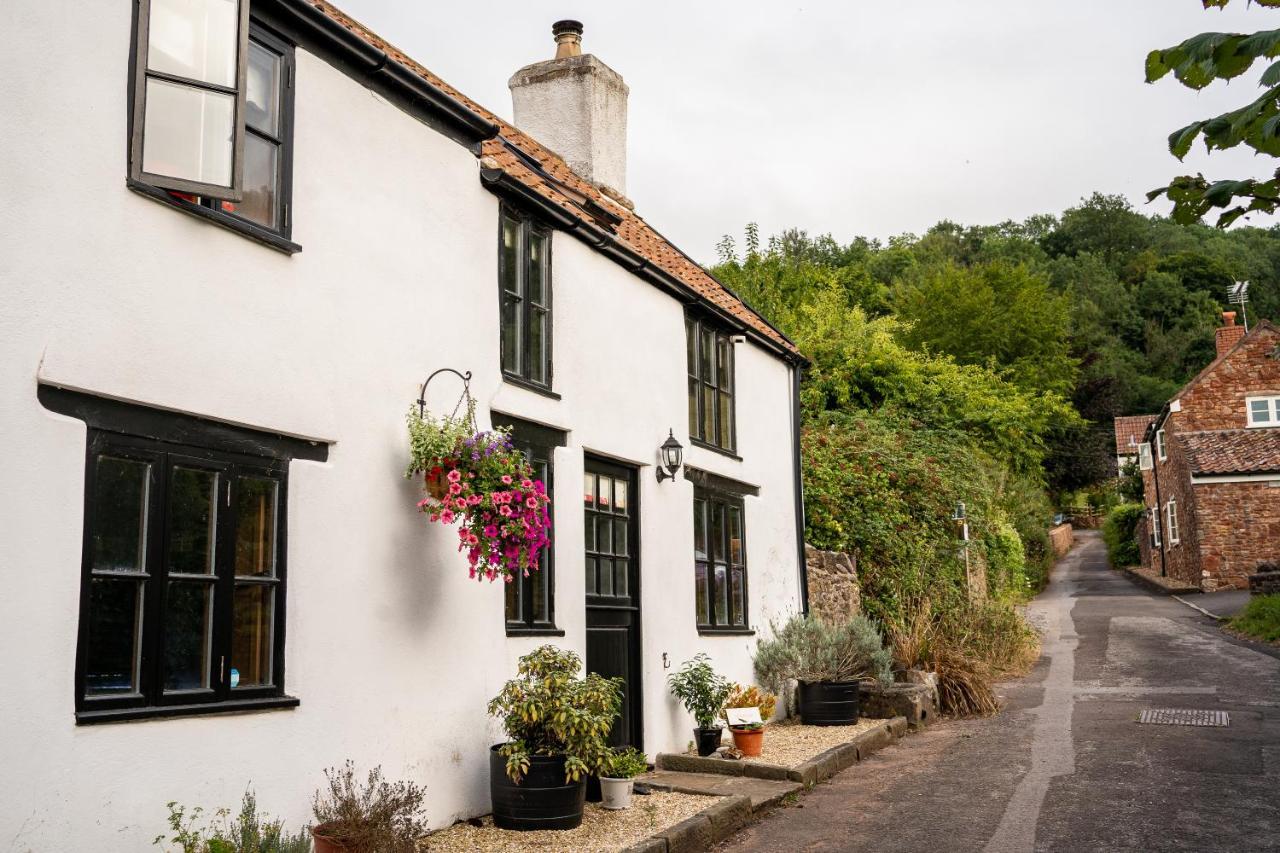 Woodview - Cosy 1840S Cottage In Chew Valley And Mendip Aonb Compton Martin Exterior foto