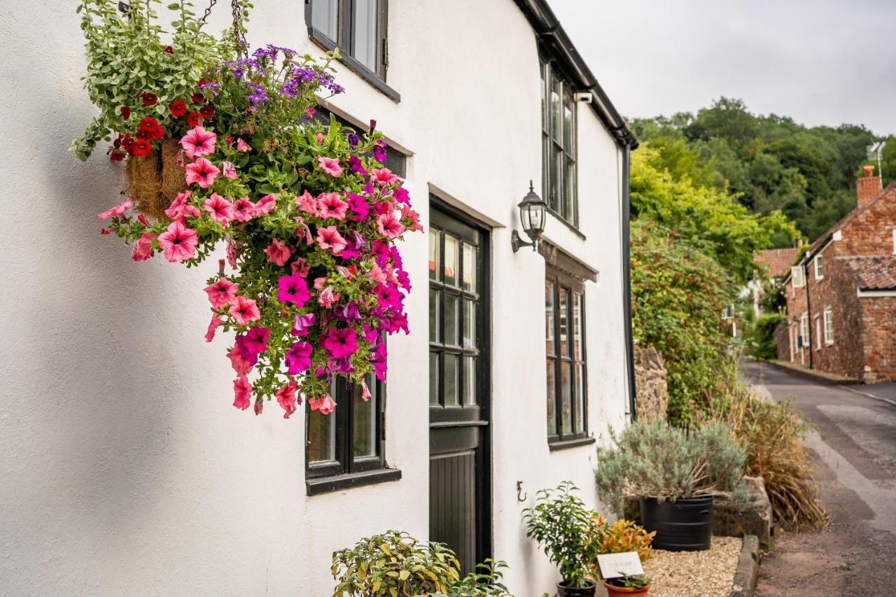 Woodview - Cosy 1840S Cottage In Chew Valley And Mendip Aonb Compton Martin Exterior foto